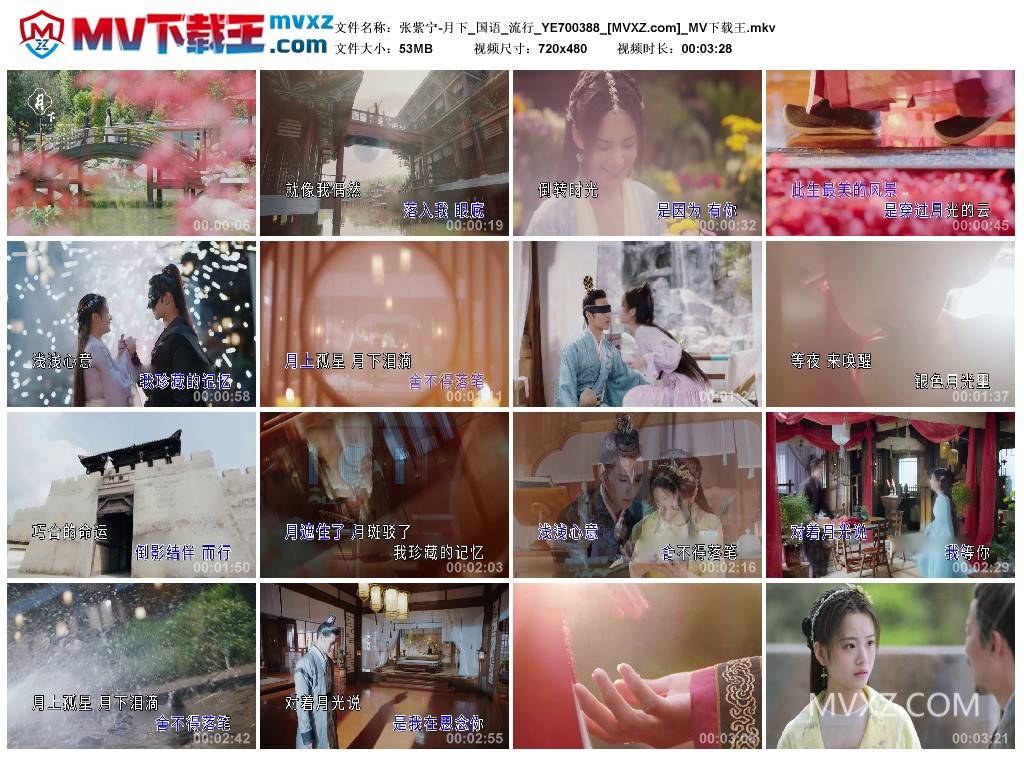 张紫宁-月下_国语_流行_YE700388